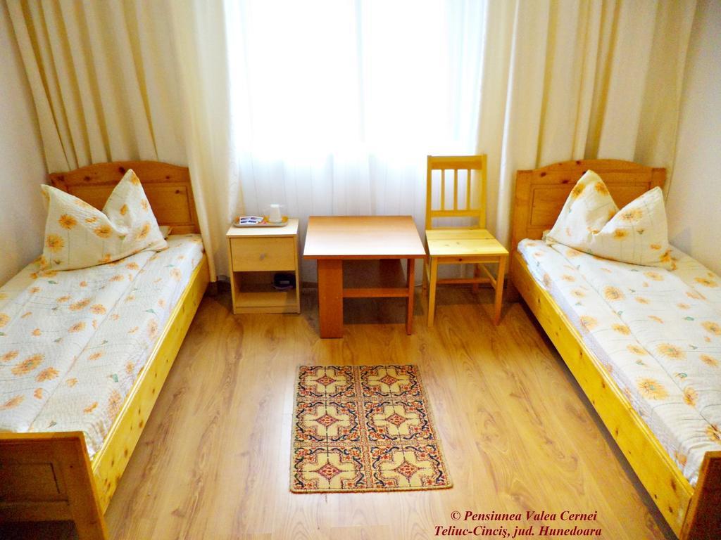 Pensiunea Valea Cernei Teliucu Inferior Habitación foto