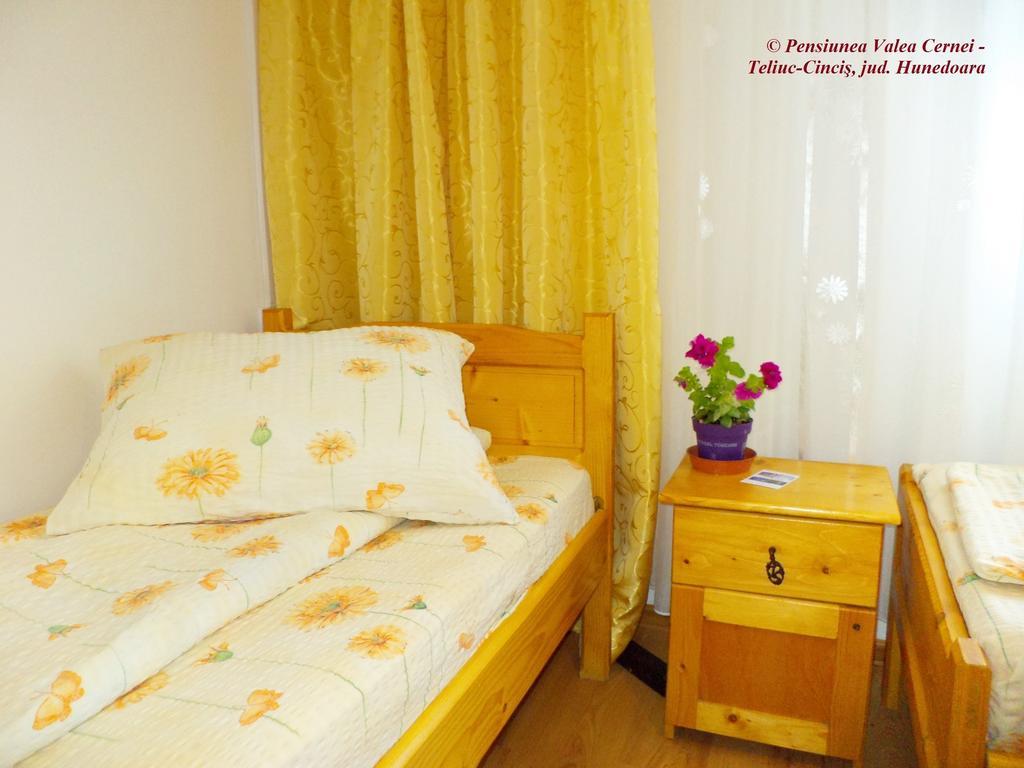 Pensiunea Valea Cernei Teliucu Inferior Habitación foto