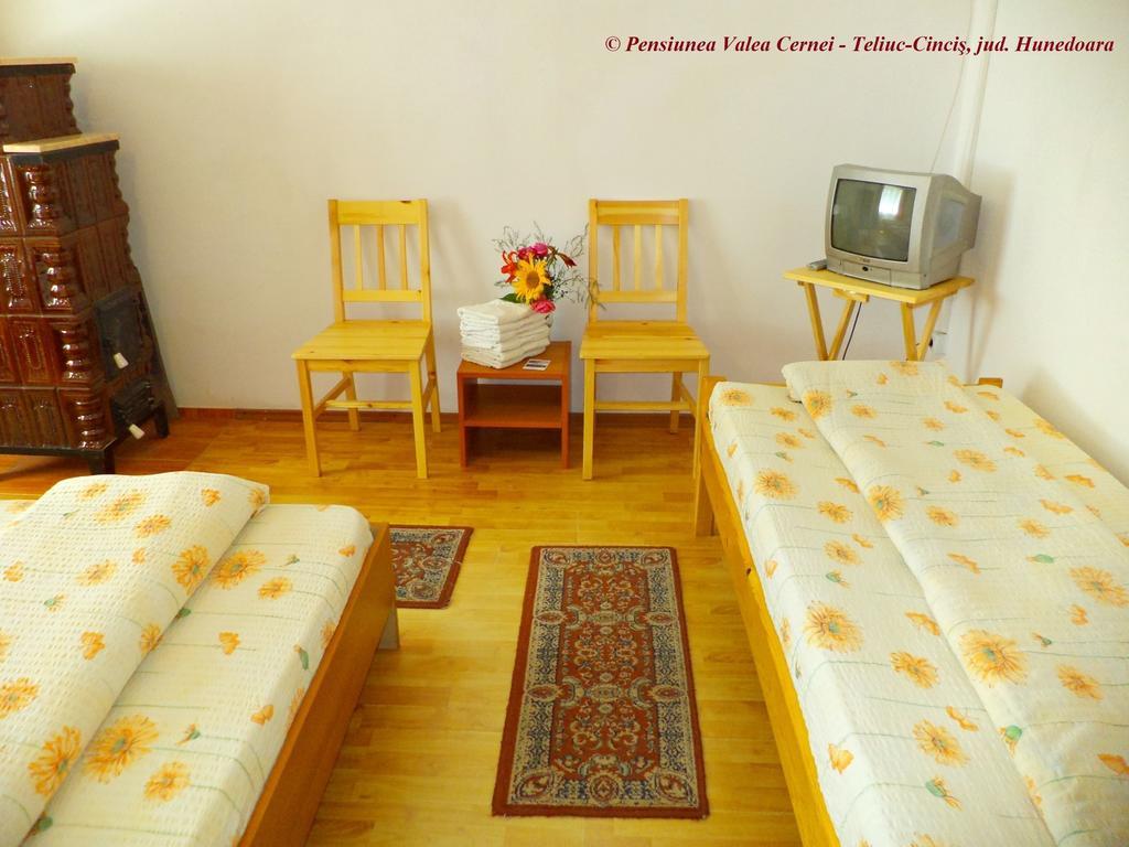 Pensiunea Valea Cernei Teliucu Inferior Habitación foto