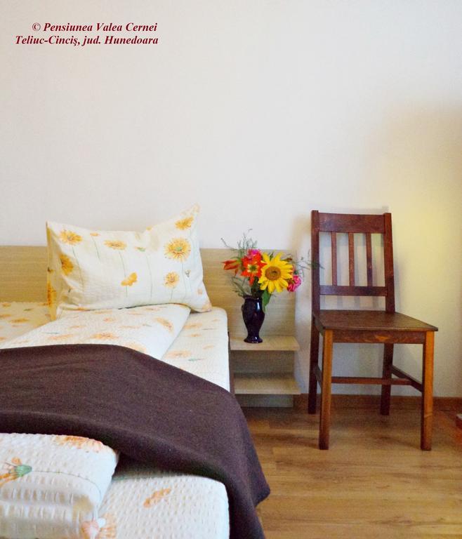 Pensiunea Valea Cernei Teliucu Inferior Habitación foto