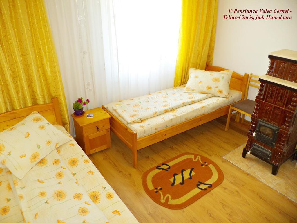 Pensiunea Valea Cernei Teliucu Inferior Habitación foto