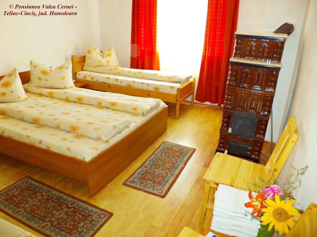 Pensiunea Valea Cernei Teliucu Inferior Habitación foto